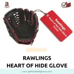Rawlings heart of hide review